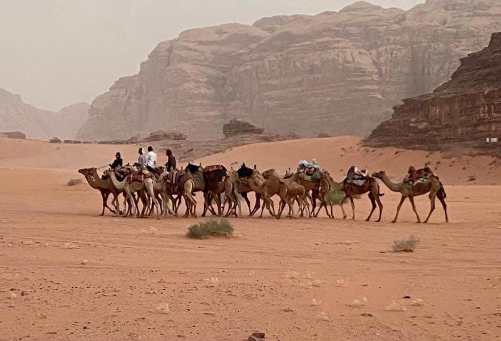 Wadi Rum Trail Bagian luar foto