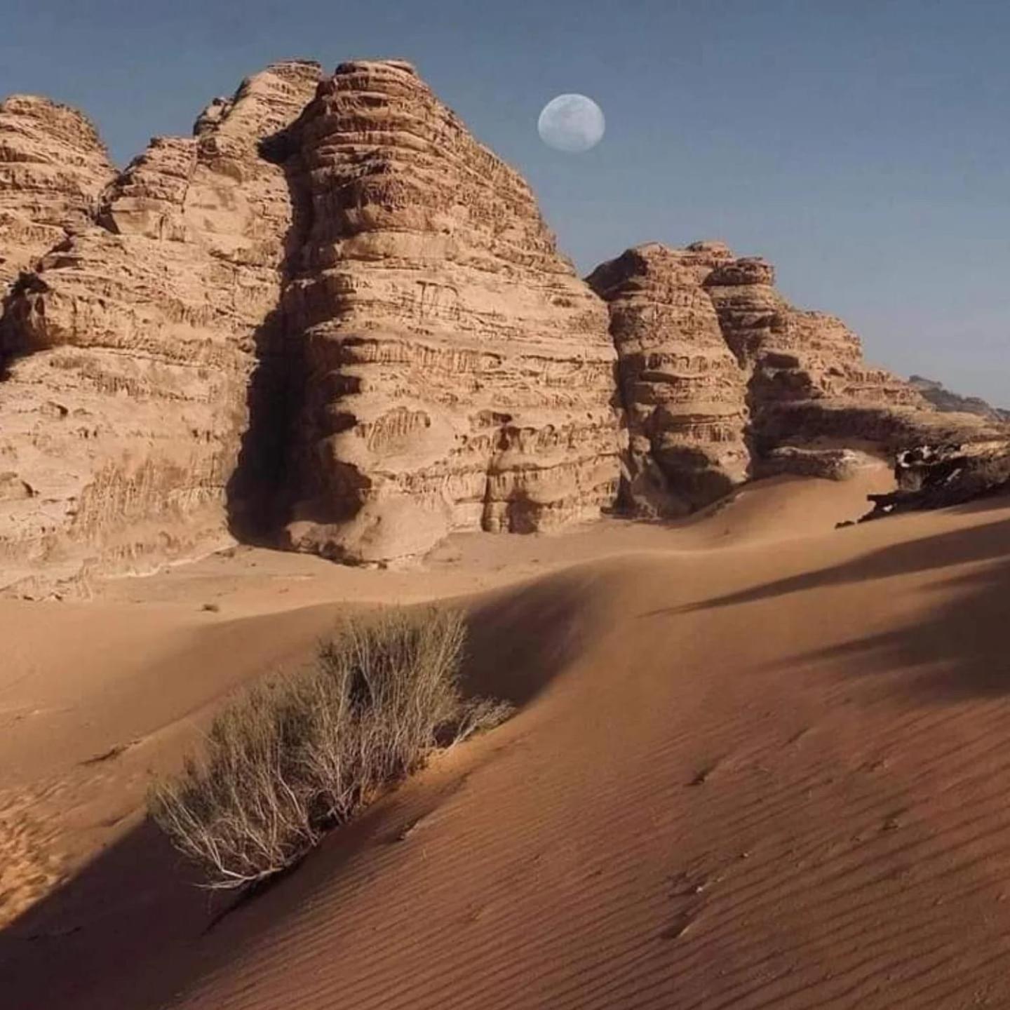 Wadi Rum Trail Bagian luar foto